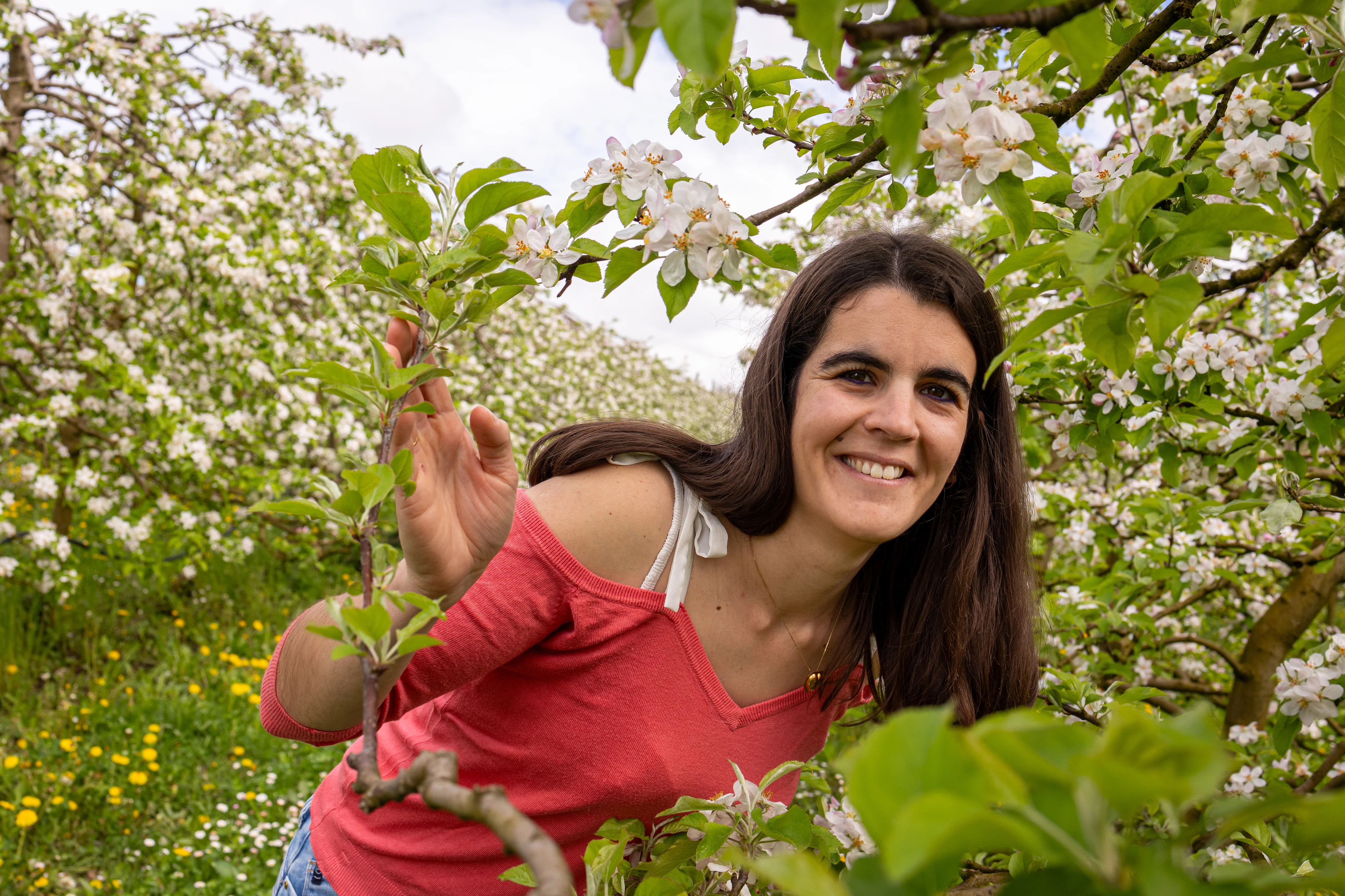 Jeune femme habillée en rose sort d'un champ de cerisiers en fleurs vers Annecy photographiée par Marine Bourely Photographe